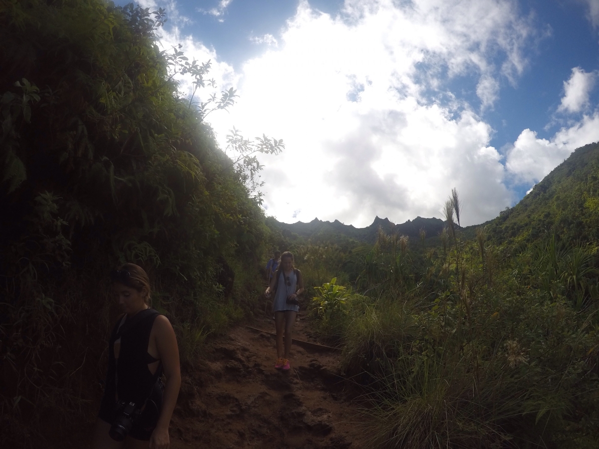 trail down to the beach  